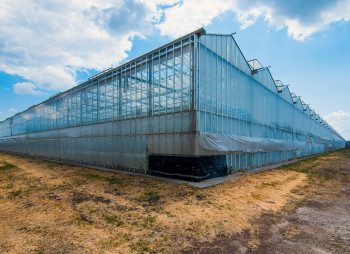 The existing agricultural complex in Kherson